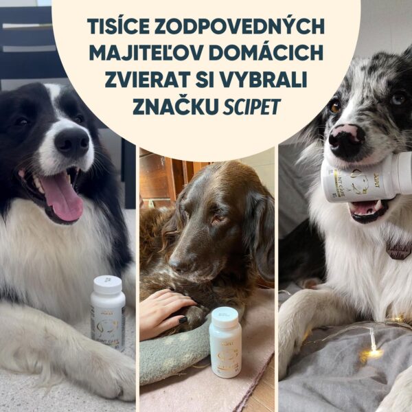 Tisíce zodpovedných majiteľov domácich zvierat si vybrali značku SciPet.